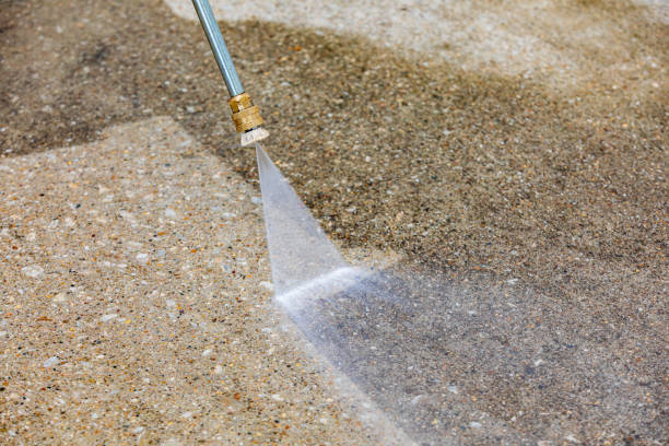 Best Animal Enclosure Cleaning  in Sparta, GA